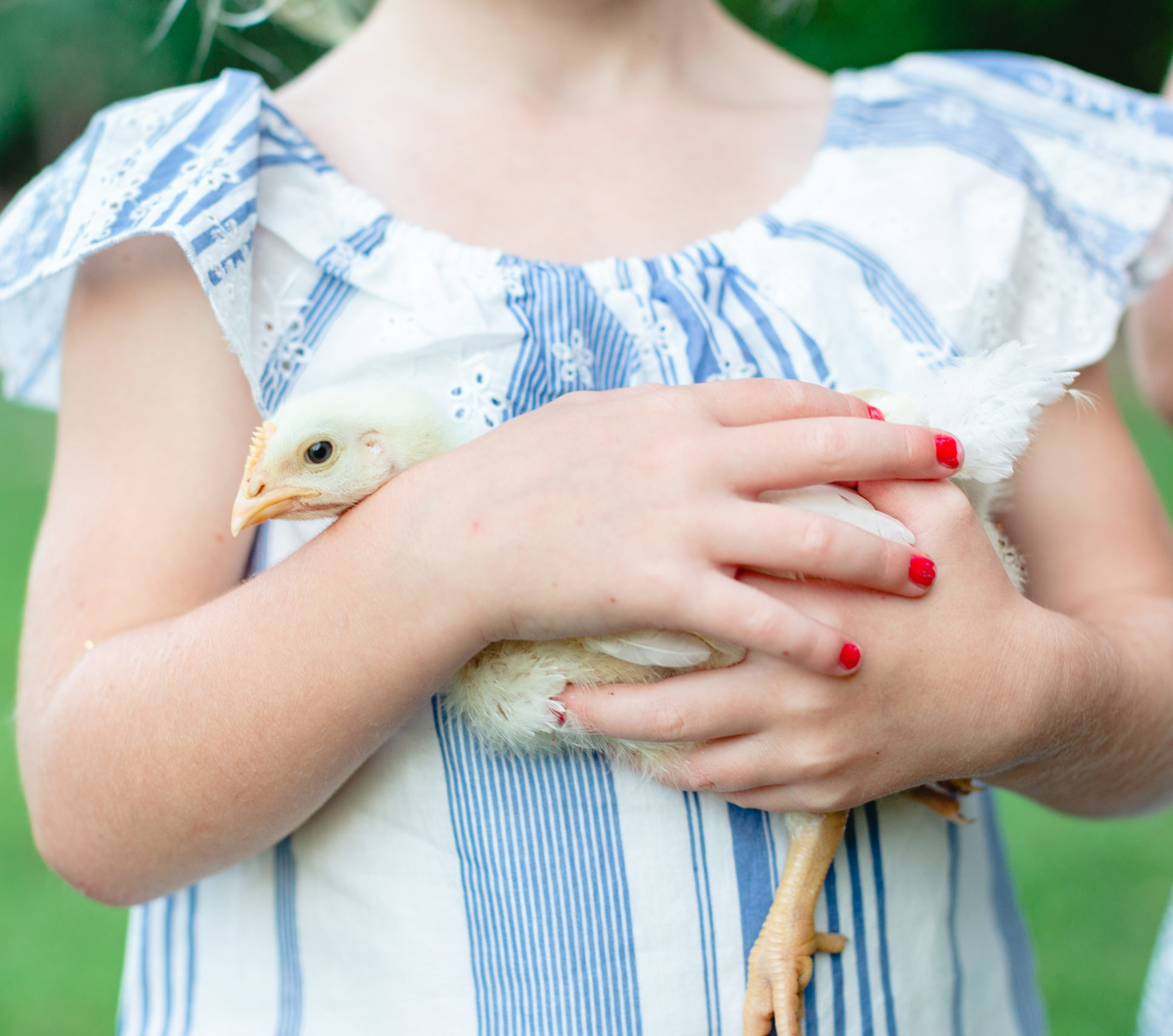 Pastured Poultry