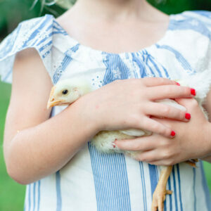 Pastured Poultry