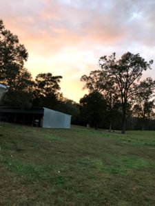 Farm Events and Workshops held throughout the yearJoin Us On Our Regenerative Family Farm To Learn &amp; Understand Where How Food is Grown, Harvested ,Cooked Up &amp; Enjoyed